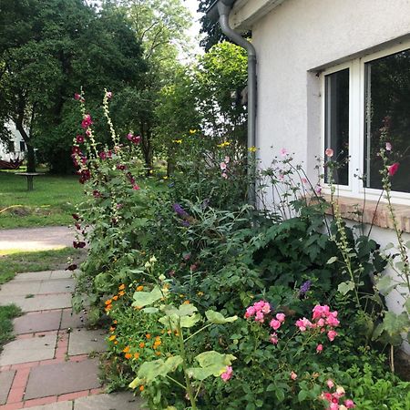 Cabana In Zweedorf An Der Ostsee Lejlighed Værelse billede